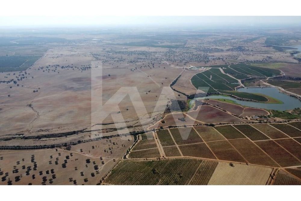 Herdade de amendoal em Beja com 79 ha