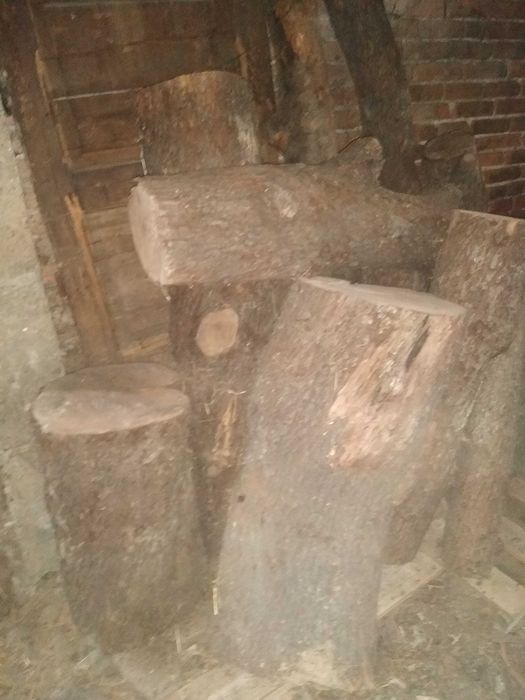 Pnie klody z gruszy ponad stuletniej