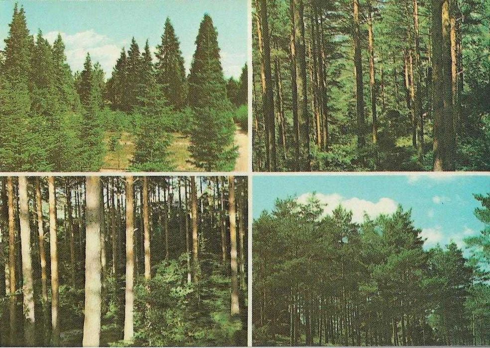 Gerês - - - Postais antigos (a) (cerca de 30 anos) - - - - - Postais