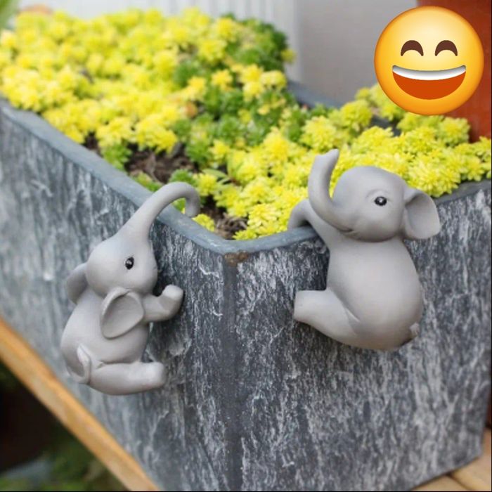 Conjunto de elefantes