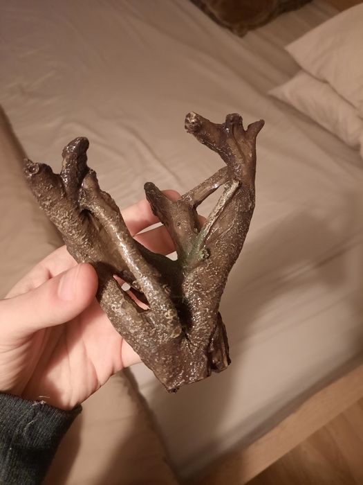 Decoração de Aquário