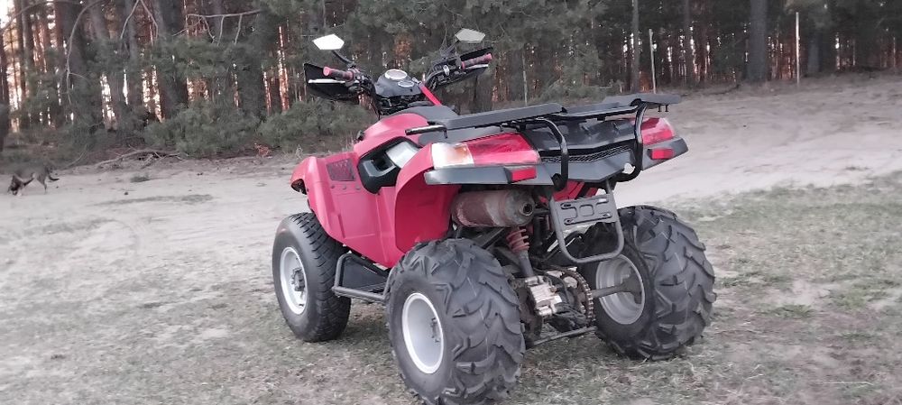 Quad 250 ,  Quad SYM   250