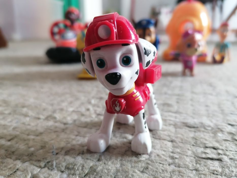 Patrulha Pata vários