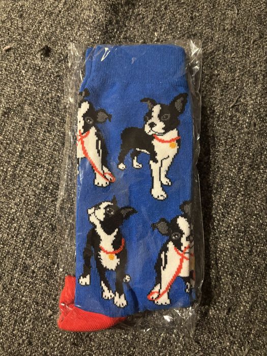 Skarpetki w pieski buldożki francuskie