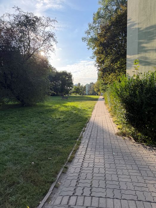 Zdjęcie 3