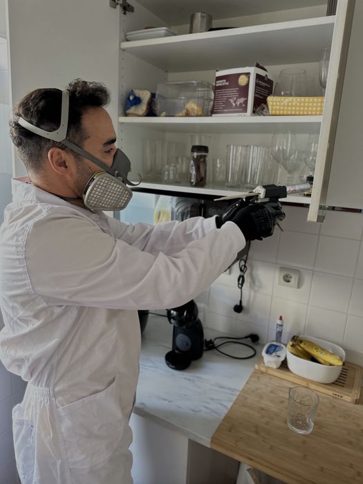 DESINFESTAÇÃO CONTROLO D EPRAGAS PERCEVEJOS BARATAS PULGAS TÉRMITAS