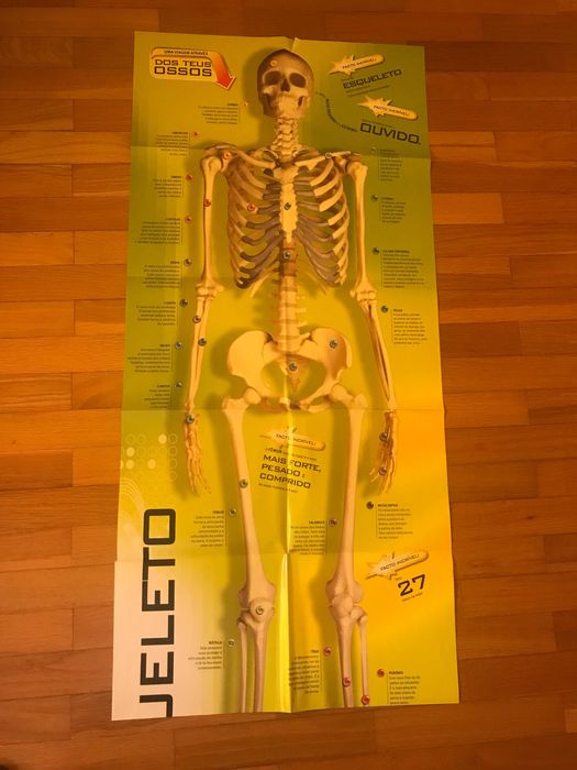 Livro sobre o Corpo Humano