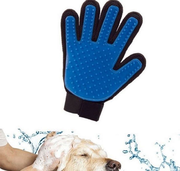 Luva para animais domésticos