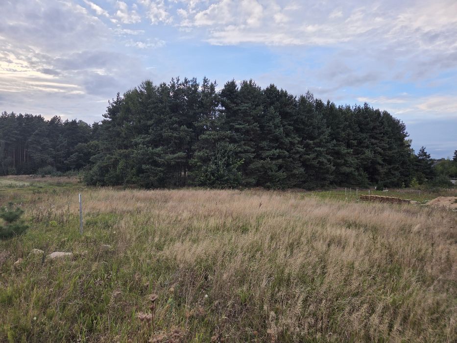 Działka budowlana ul. leśna - działka 45/36 - 1140 m² - Widok 4