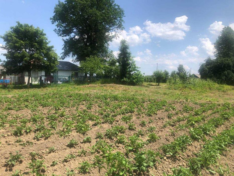 Продається земельна ділянка під житлову забудову в с. Підгір'я