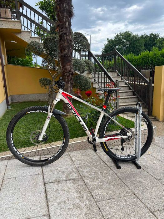 Bicicleta carbono Focus Raven 29R