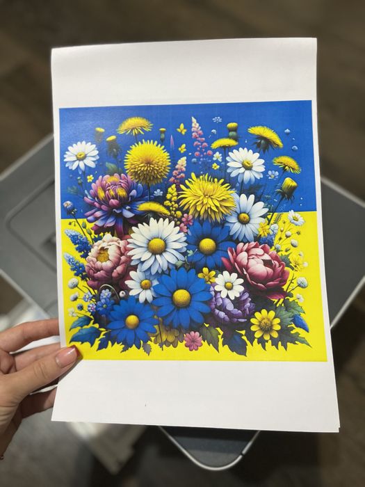 HP Color Laser 150nw