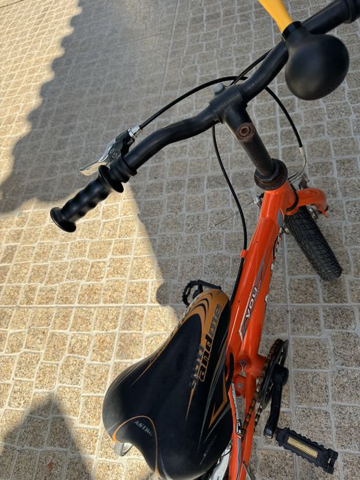 Bicicleta com rodinhas e buzina
