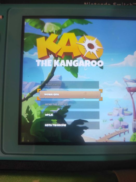 Kao the Kangaroo Po Polsku Dubbling Nintendo Switch Gra