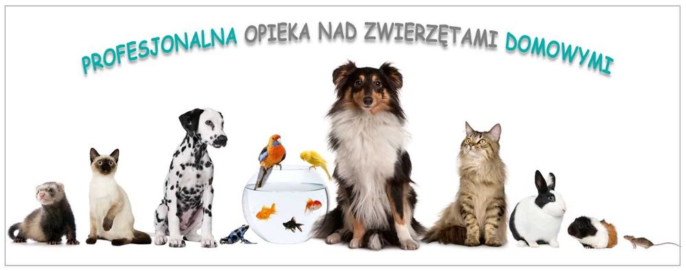 Całoroczna Opieka nad Twoim Pupilem u małej rodzinki: Ustronie