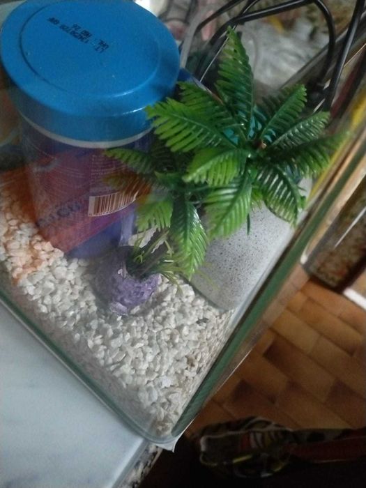 Aquário 10 litros completo com  filtro e aquecedor