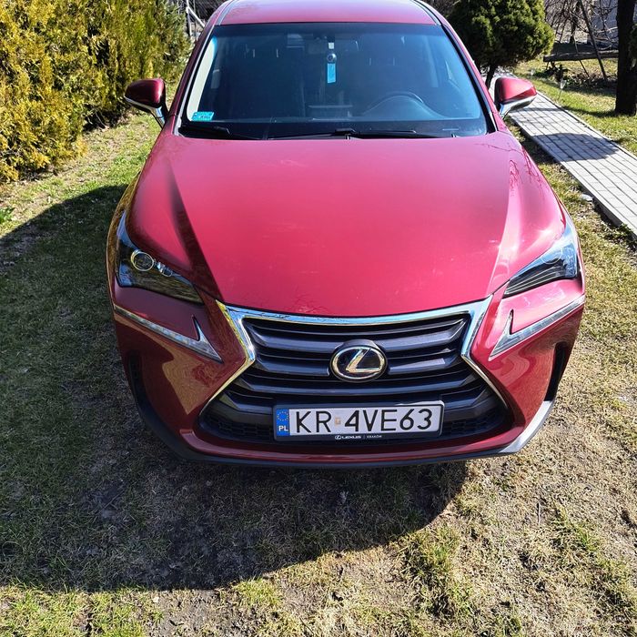 Lexus NX300H salon Polska