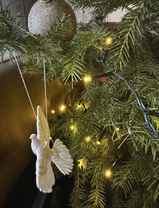 Prezent Christmas golębi para