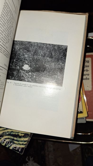 Estudos ensaios documentos Floresta fauna Guiné Bissau ultramar