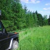 Sprzedam Las 4,09h w Krecowie  gm. Tyrawa Woloska