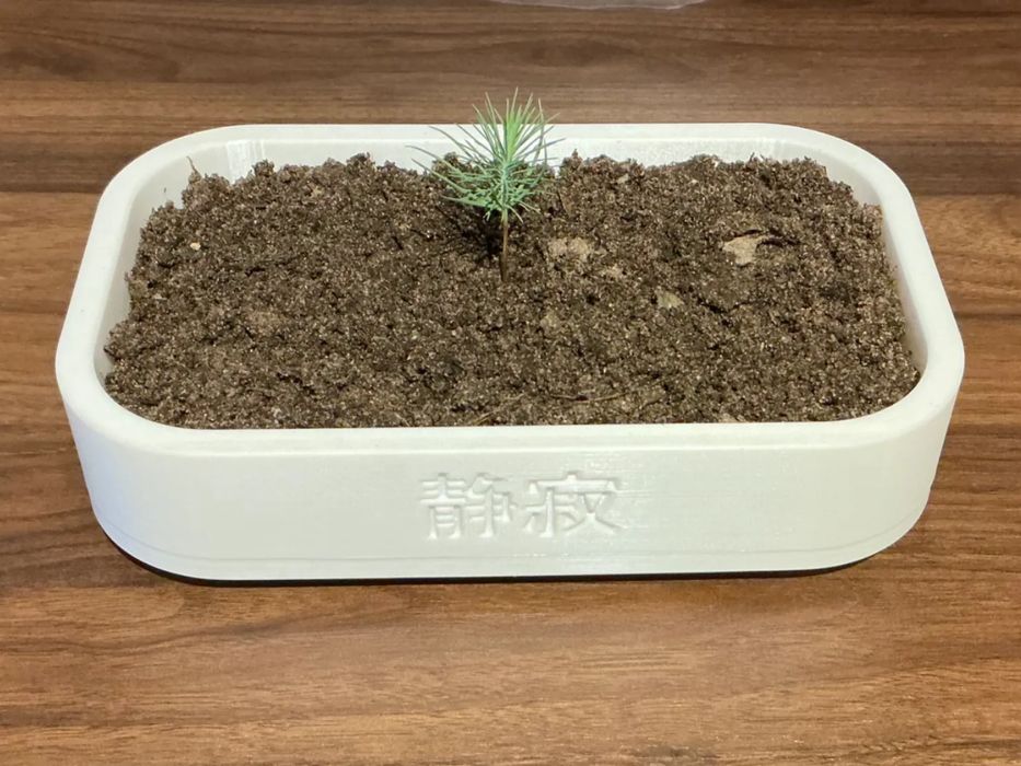 Vaso Elegante para Bonsai