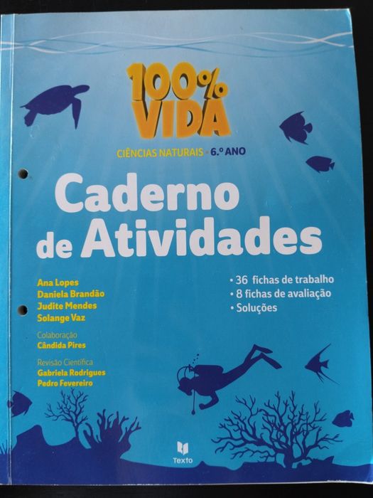 Cadernos de atividades escolares 6°Ano