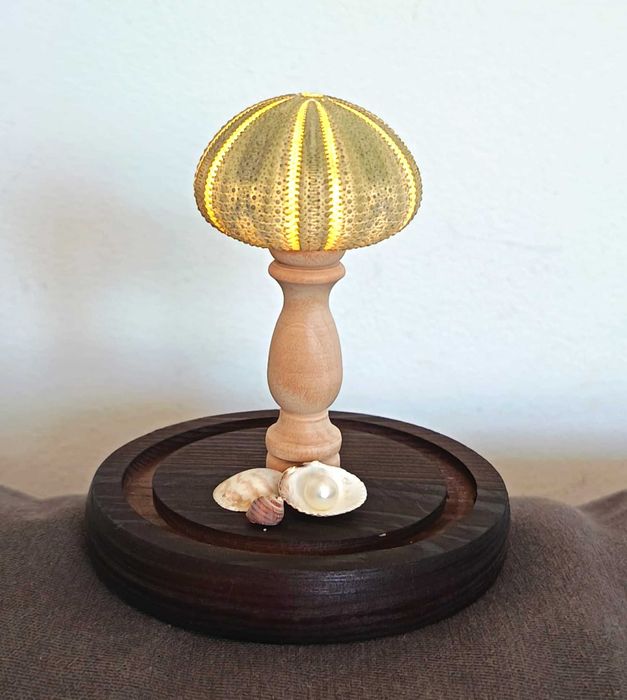 Candeeiro em forma de concha