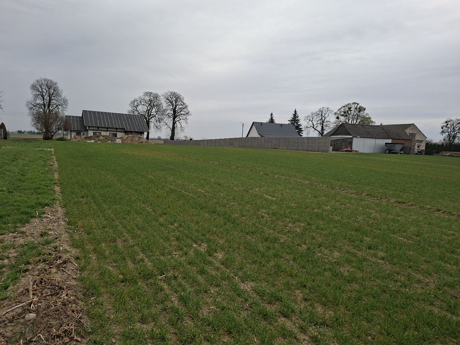 Twoje miejsce na dom, 1555 m² w cichej lokalizacji Kotomierz.