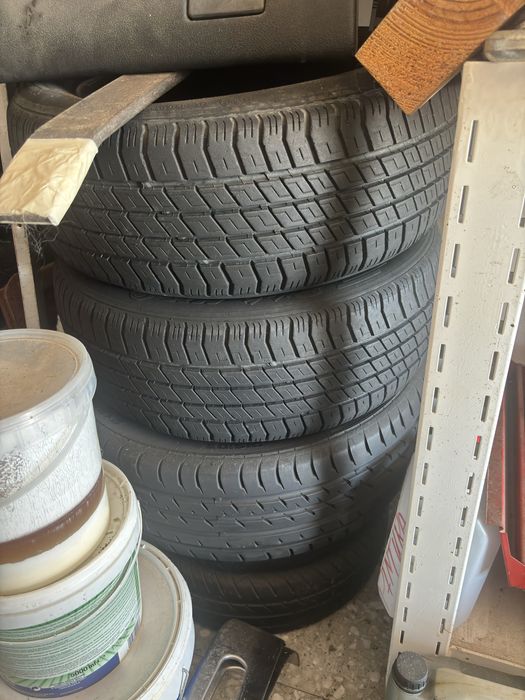 Peneus  michelin piloto