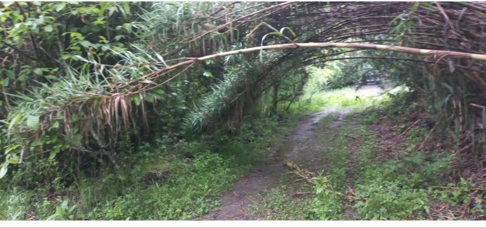 Terreno Rústico-Serpins Lousã  com levada e rio Ceira