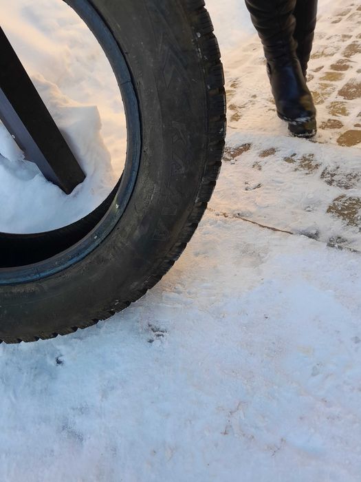 шина зимова 195/65  R15 торгова марка "КАМА"