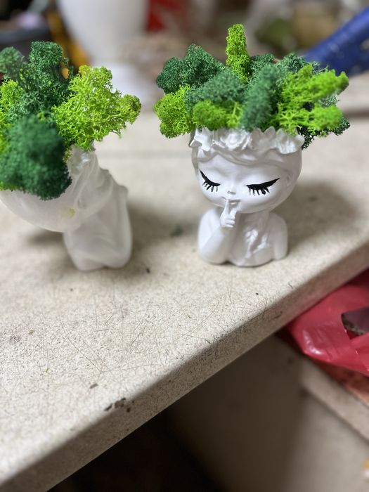 Кашпо з мохом