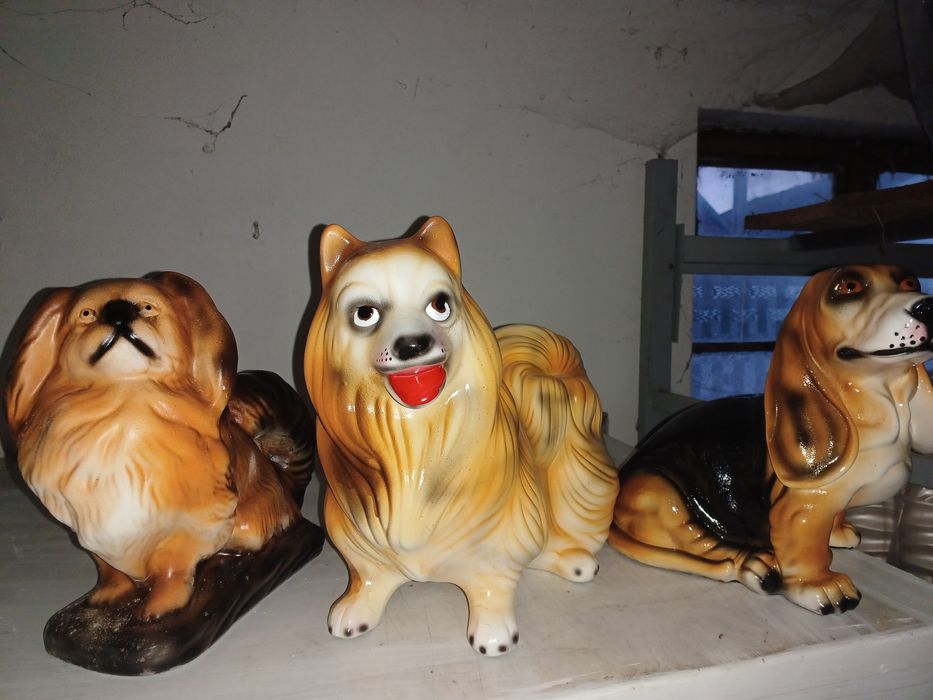 Cao de loiça pequeno