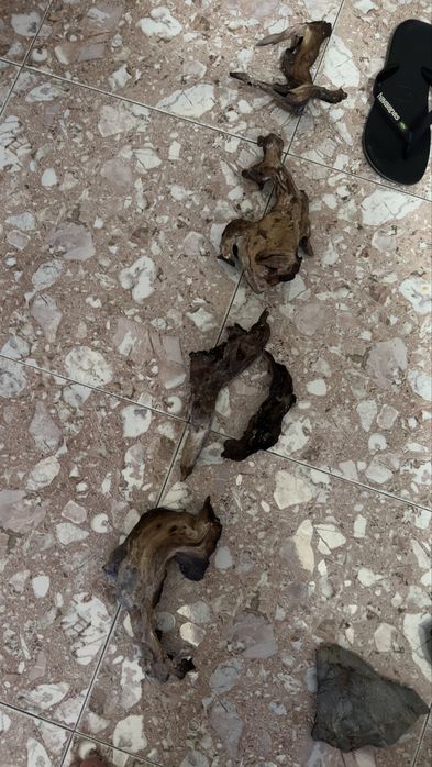 Pedras e troncos