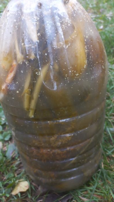 ХРУМКІ квашені огірки