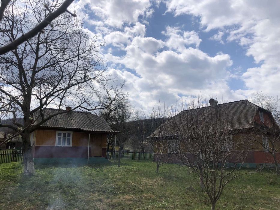 Продається будинок та літня кухня село пороги