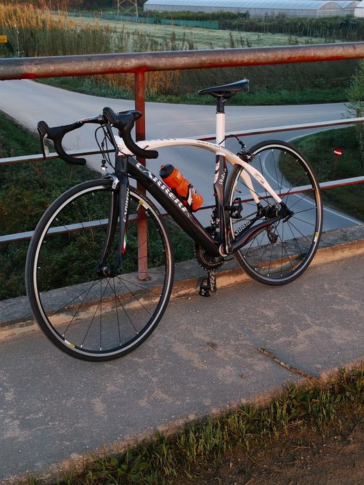 Bicicleta Carrera Phibra