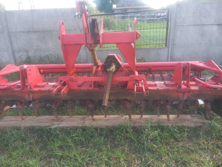 Byk, krowy, cielaki ZAMIANA