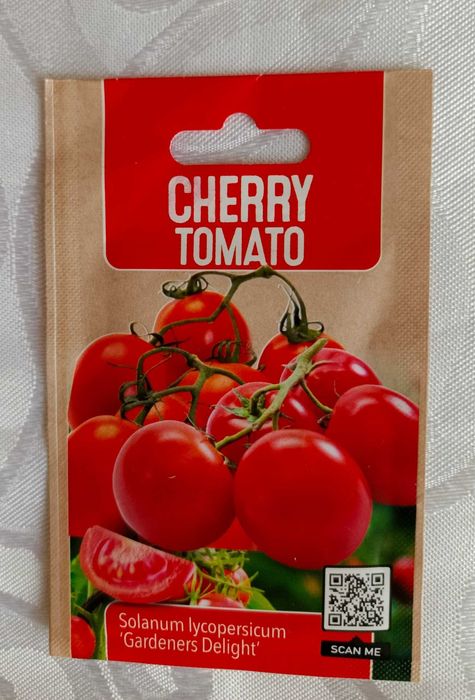 Sadzonki pomidorów koktajlowych Cherry Tomato