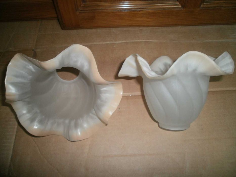 Campânulas de vidro