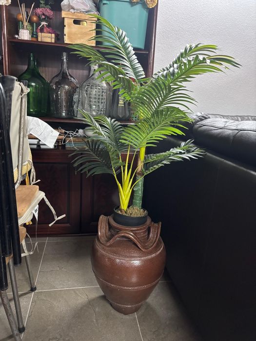 Planta e vaso de decoração