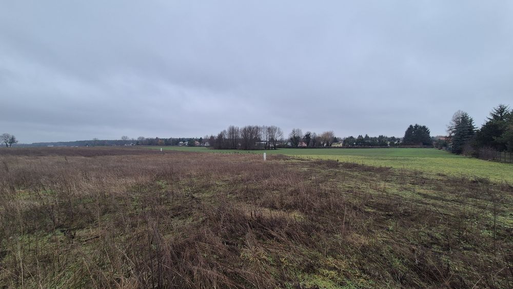 Działki Lulkowo / Kalina, gm. Gniezno MPZP prąd na działce PROMOCJA - Widok 4