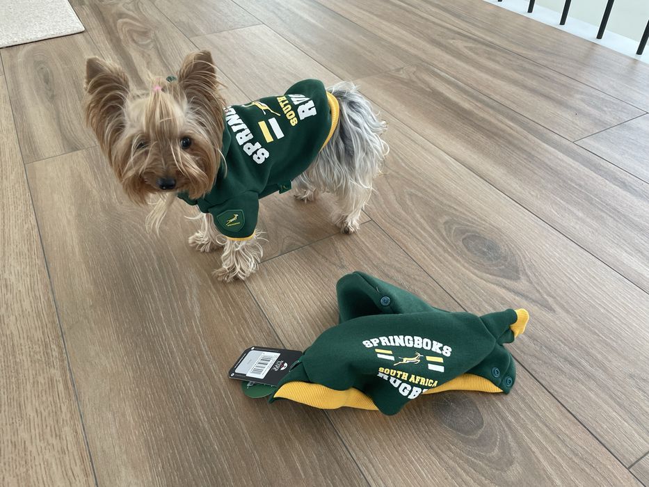 Springboks rugby - Casaco cão pequeno