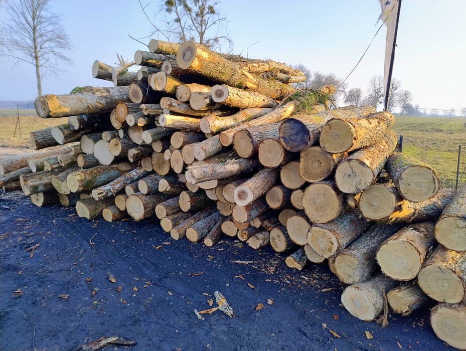 Sprzedam Drewno opałowe pocięte rąbane Pellet transport do klienta