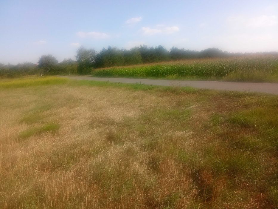 Działka budowlana 51 arów z widokiem na naturę – idealna pod dom i duży ogród