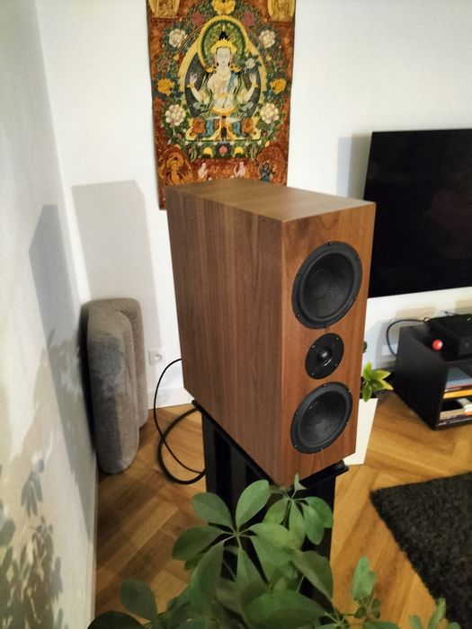 Sveda Audio Blipo Home (Fornir Orzech) OKAZJA!!!