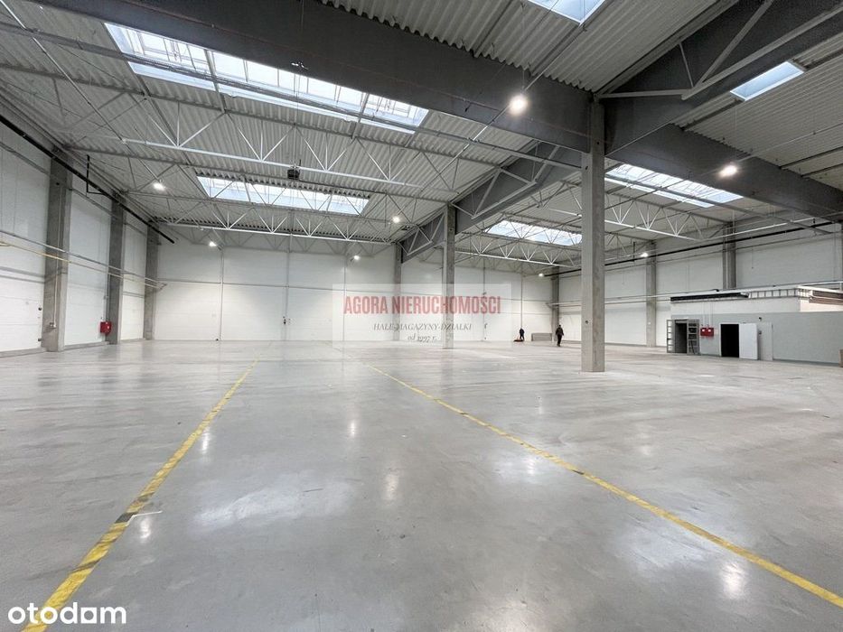 Hala Produkcja 2500 M2 Doki, Bramy "0" Rybitwy