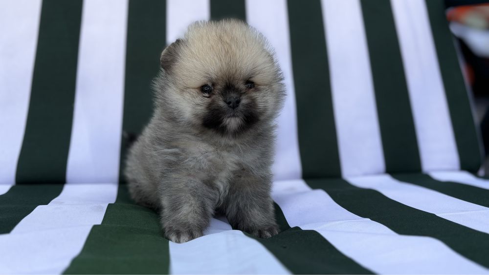 Манюня хлопчина