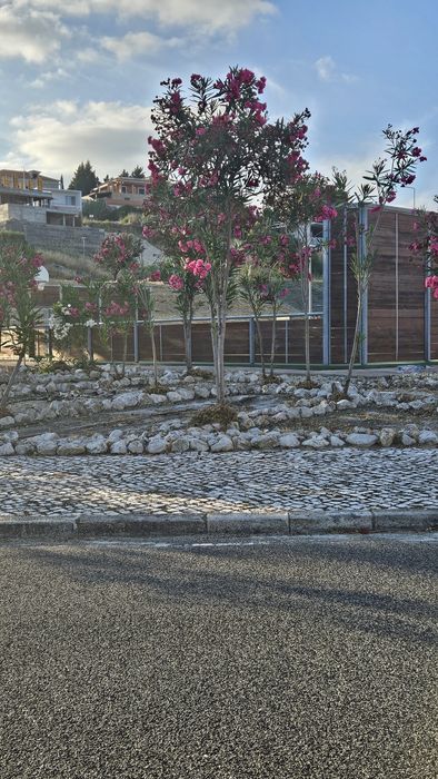 Terreno para construção de moradia