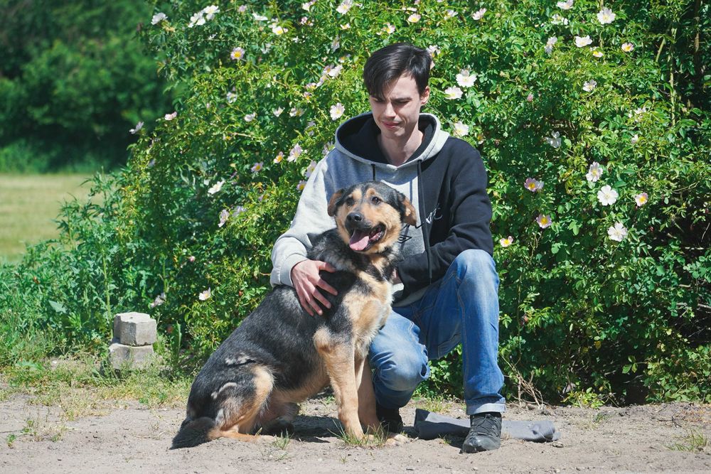 Bary - duży pies szuka domu